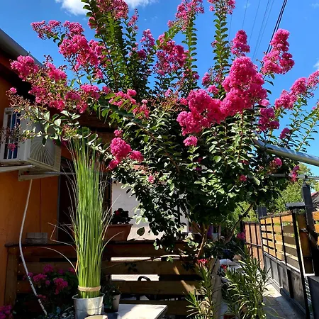 Апартаменты Amur Vendeghaz 2 *