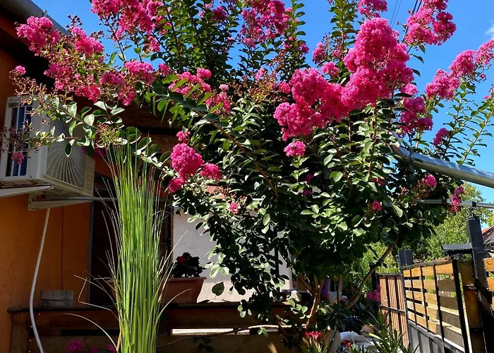 Apartmán Amur Vendeghaz 2 *